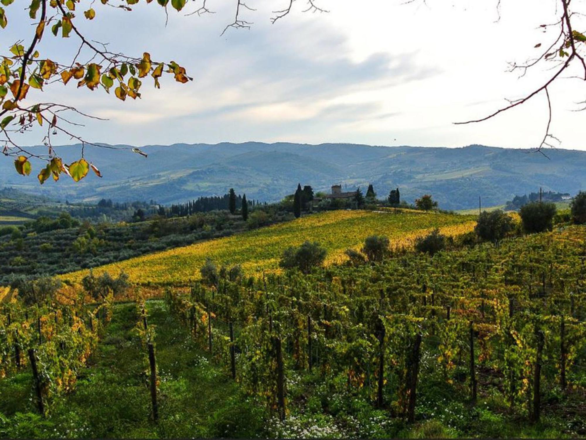 Holiday Home La Torre By Interhome Lucolena in Chianti Exteriör bild